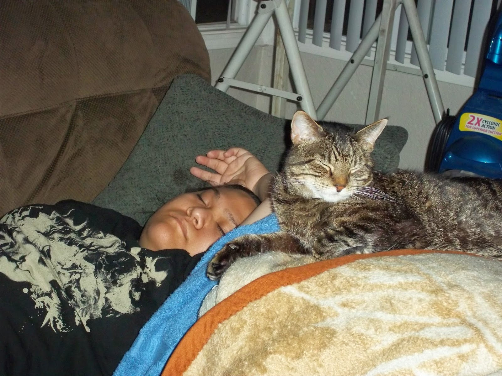 Friends 'nd Family CAT DRUG ADDICT AND THE PROPRIETARY ATTITUDES