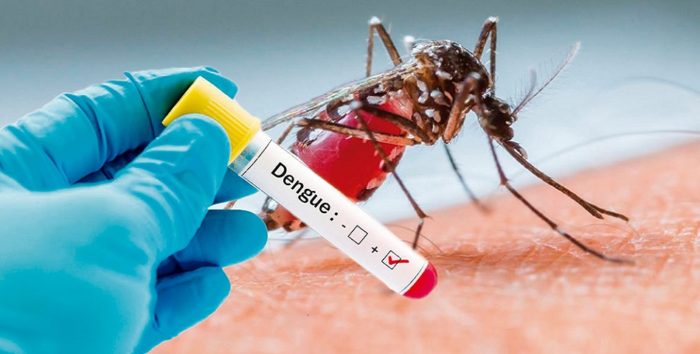 La temporada de dengue 2019 en México está próxima a concluir