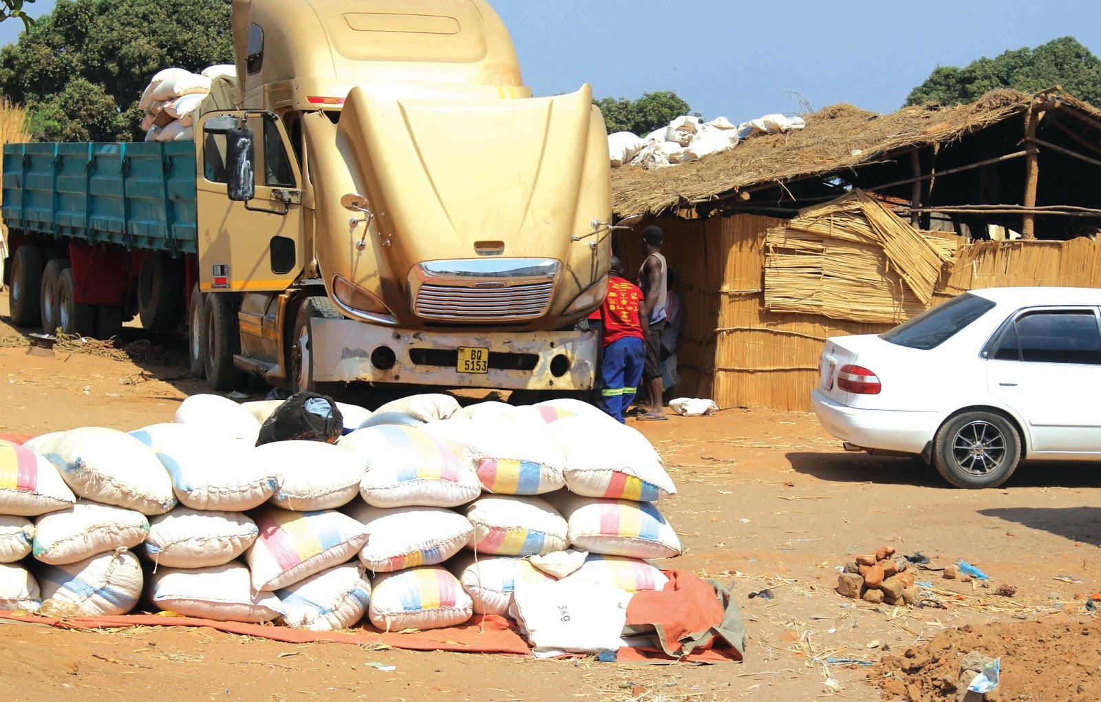 How Malawi is mopping up Zambia’s staple food