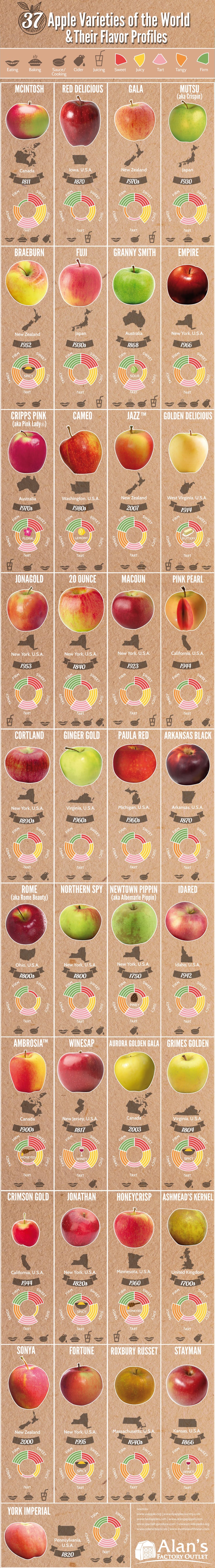 37 Apple Varieties Around the World and Their Flavor Profiles