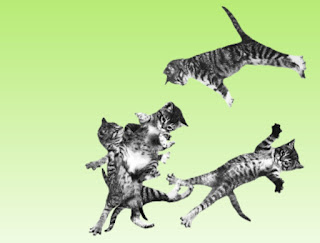 Dancing cat website
