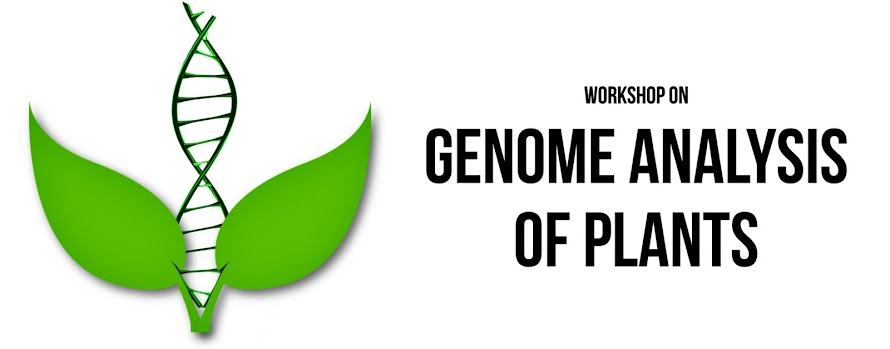 Workshop on Genome Analysis of Plants