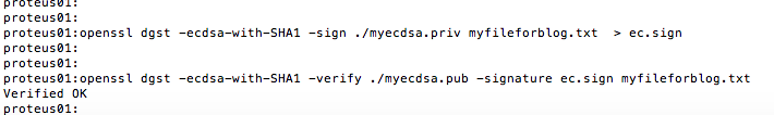 Openssl Generate Ecdsa Key Pair