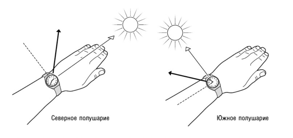 определить стороны света по солнцу. ориентирование в южном полушарии по часам. ориентирование по солнцу. определение сторон света по часам. определить полушарие по солнцу.