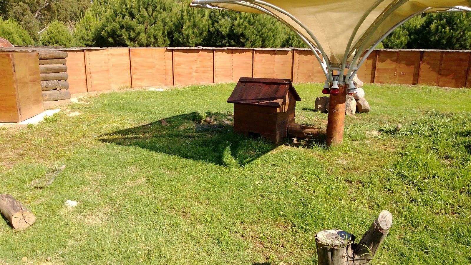 WP_20130512_003.jpg