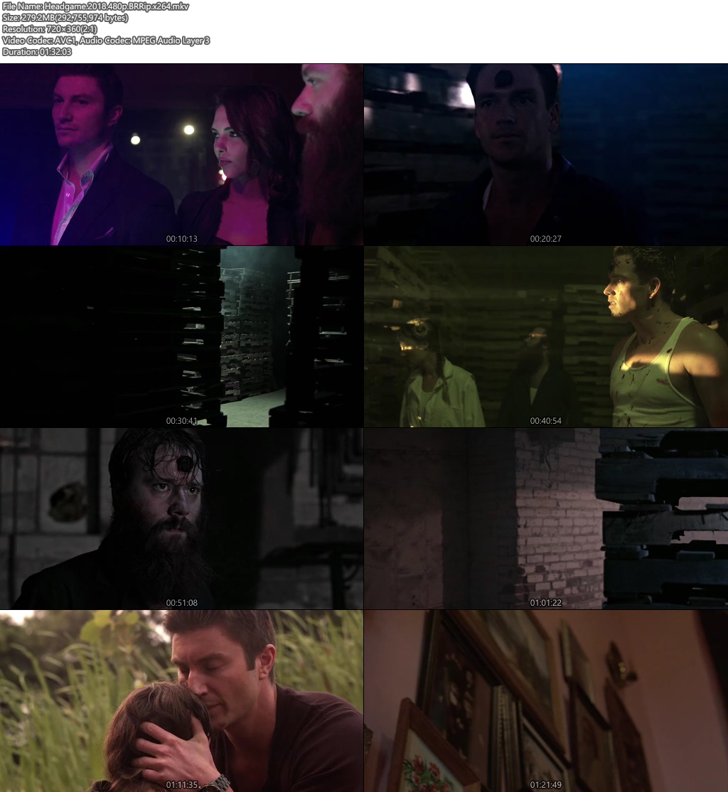 Blended 2014 300MB BRRip 480P English ESubs Downloadhub