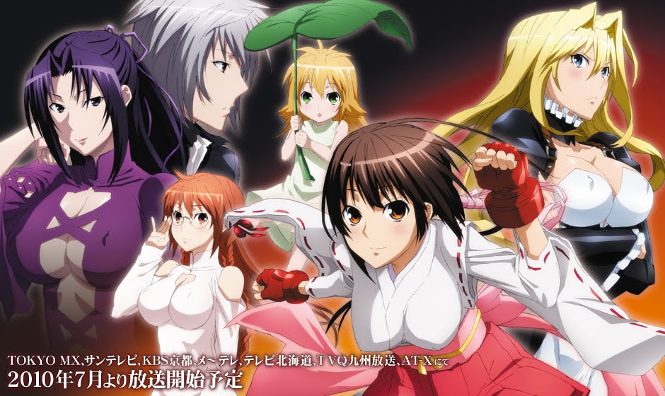 Animespy Animes Dublados Online Sekirei Pure Engagement