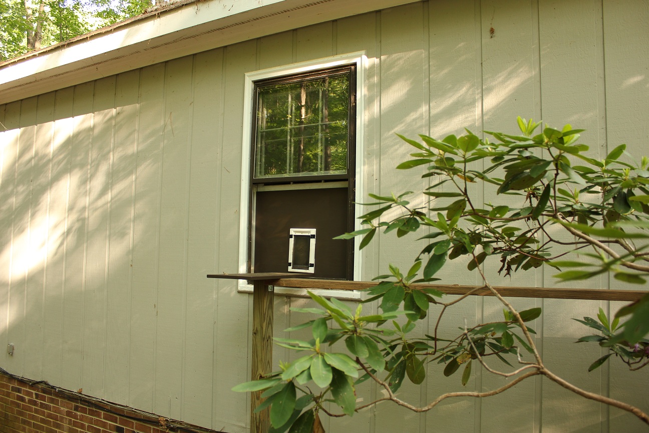*The Handcrafted Life* How To Build a Custom Cat Door in a Window