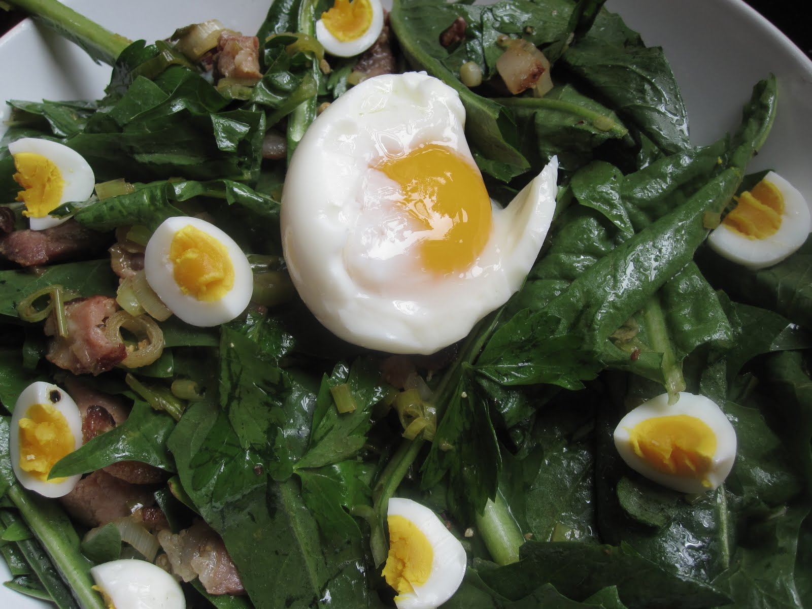 2 Perfect brunch dandelion greens salad with bacon, spring garlic
