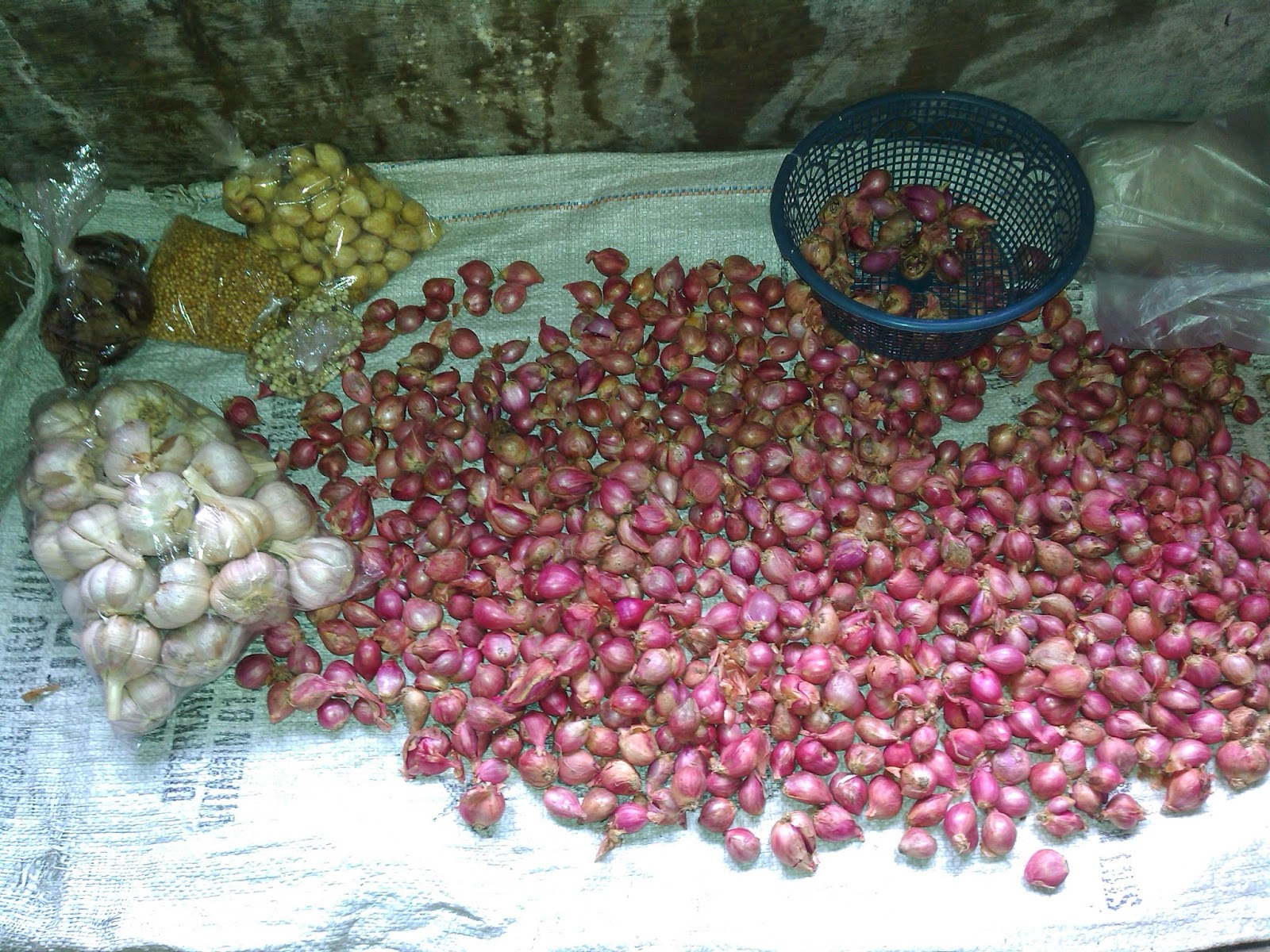 Tujuan Budidaya Tanaman Hias Bagi Pengusaha Adalah - Seputar Usaha