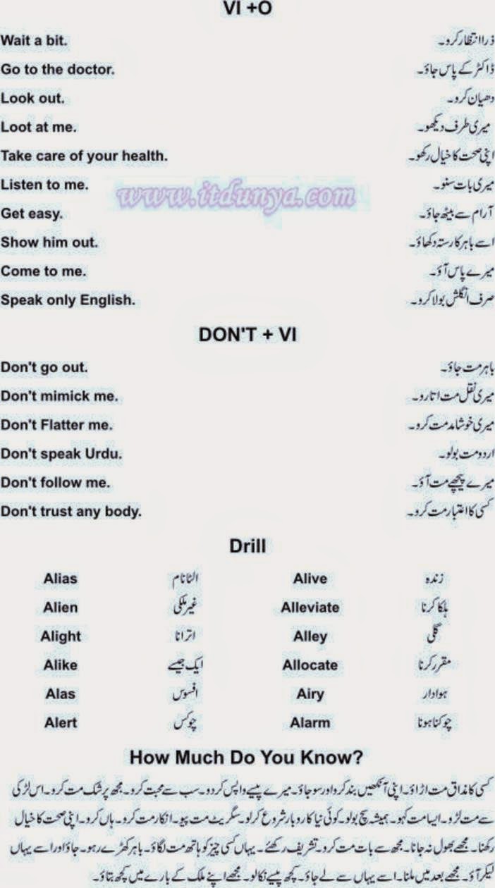 Learn English In 100 Days Pdf