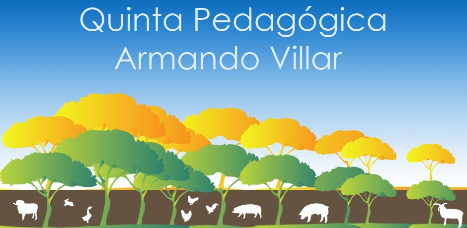 Quinta Pedagógica Armando Villar