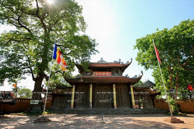 Amazing Vietnam: Tượng đất cổ chùa Nôm