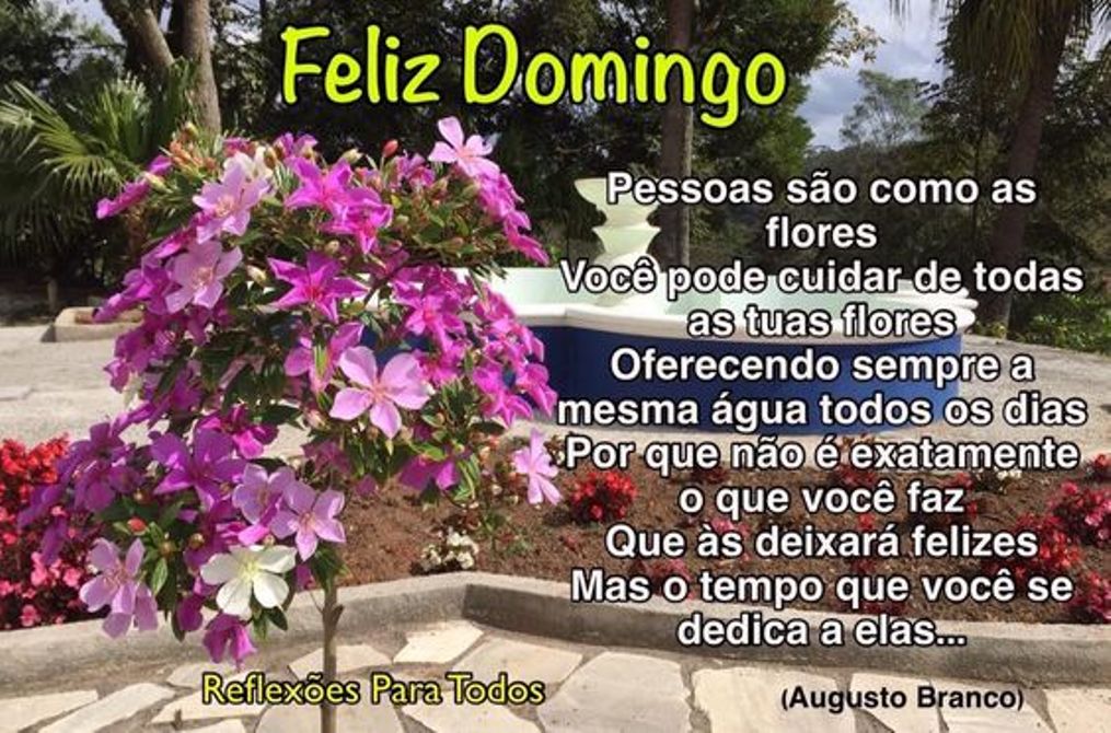 Bom domingo,descansar,ser feliz,recarregar as baterias,reunião familiar,família,amigos,amores,felicidade,alegria,domingo feliz,música,relaxar,domingo de paz