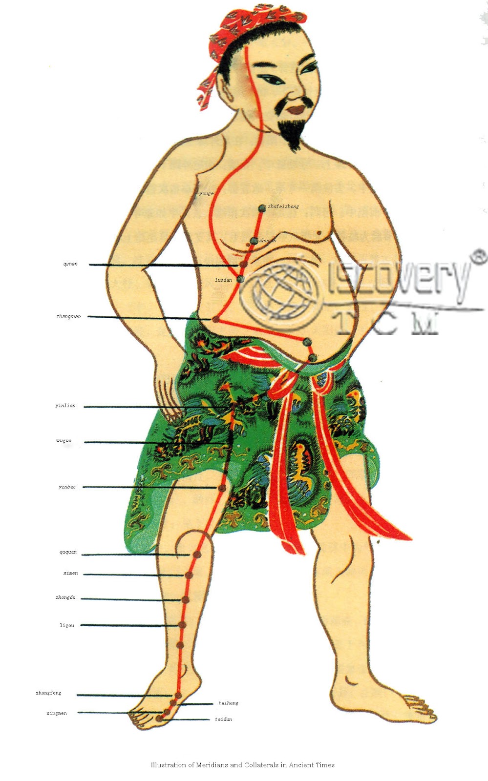 Stephanie Doucette, M.S., L.Ac. The Liver in Traditional Chinese