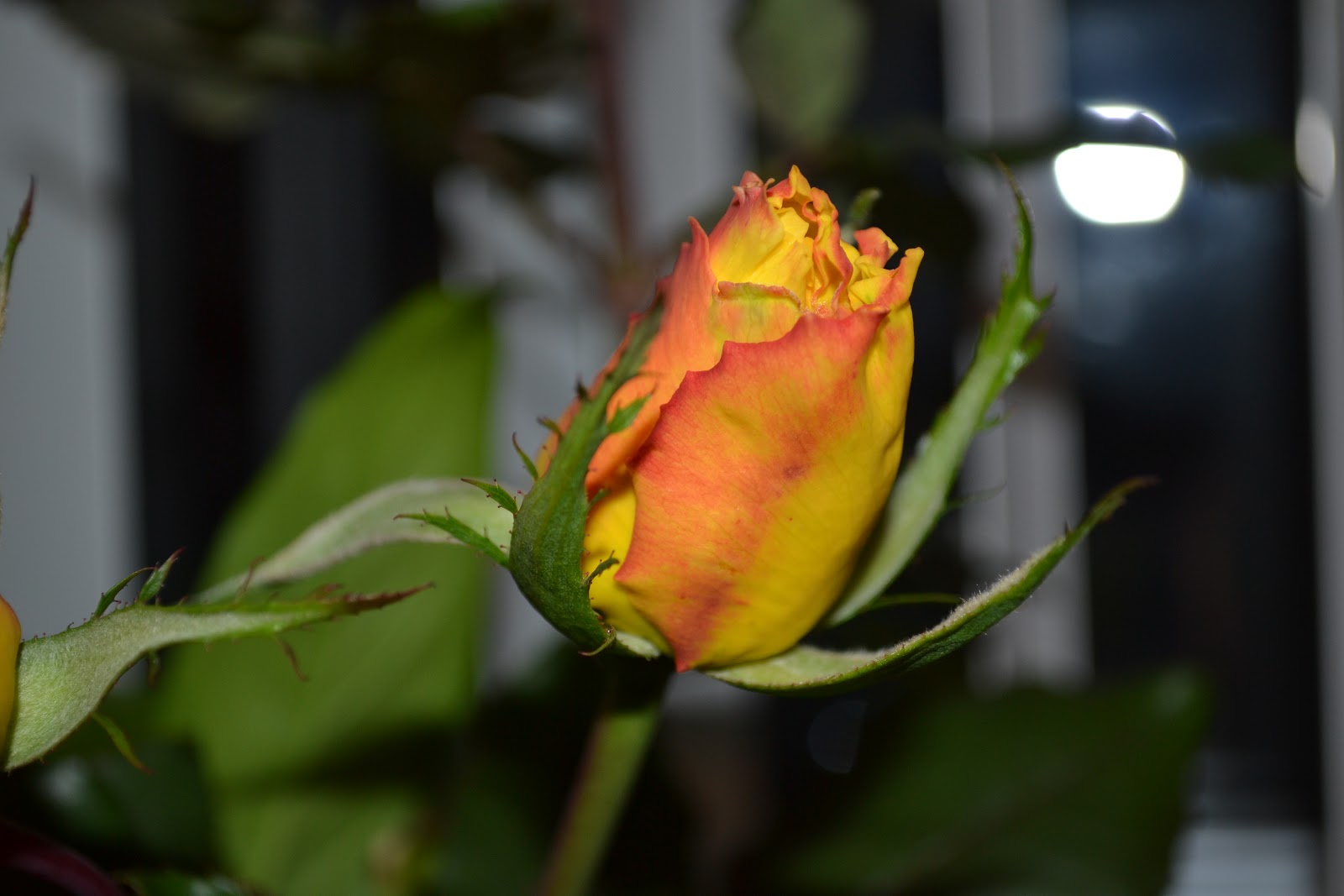 Wedding Flowers Blog Ellie S Yellow And Blue Wedding Flowers