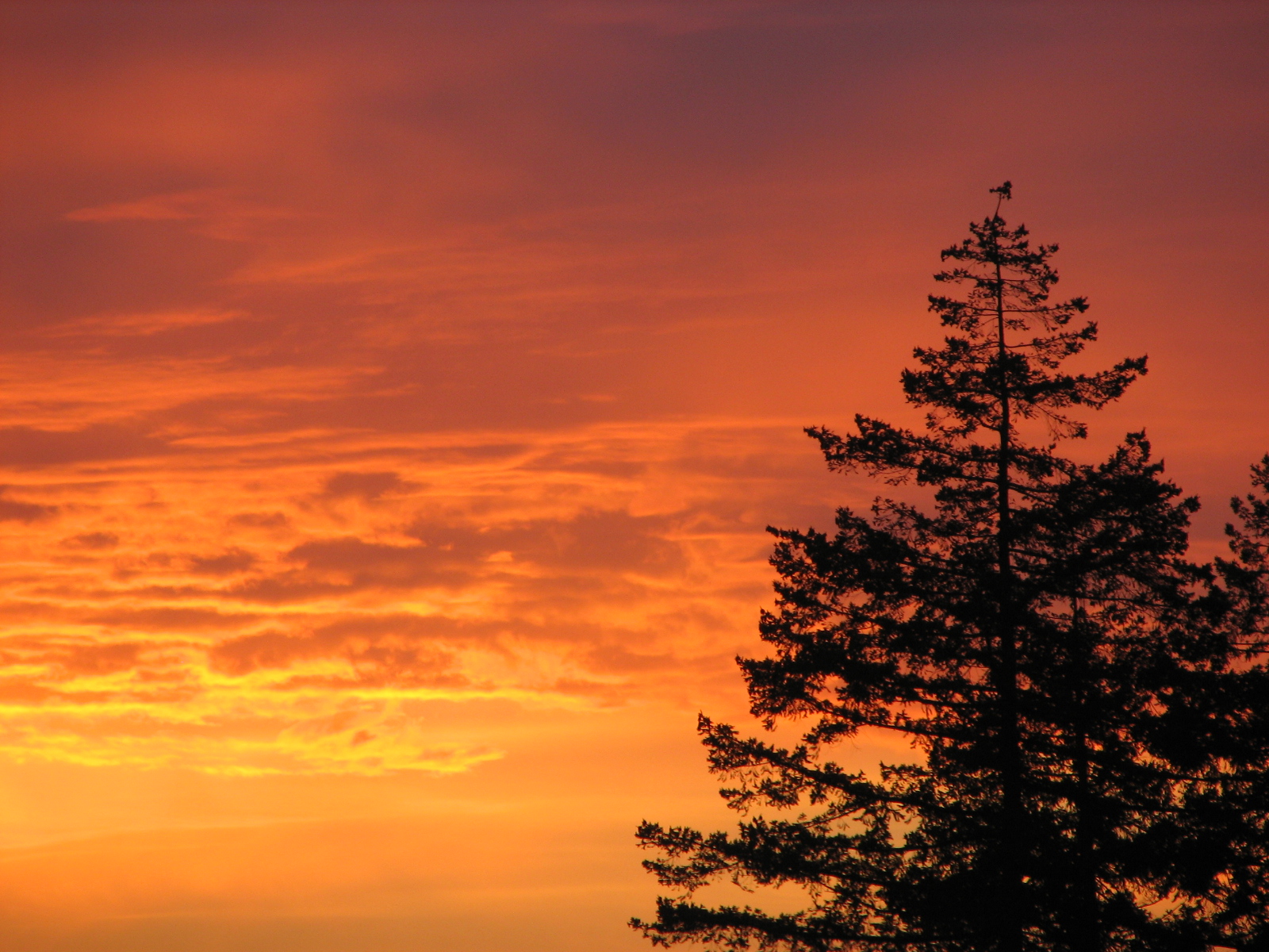 The Writing Life 10 Tips to Sell Your Photos Online