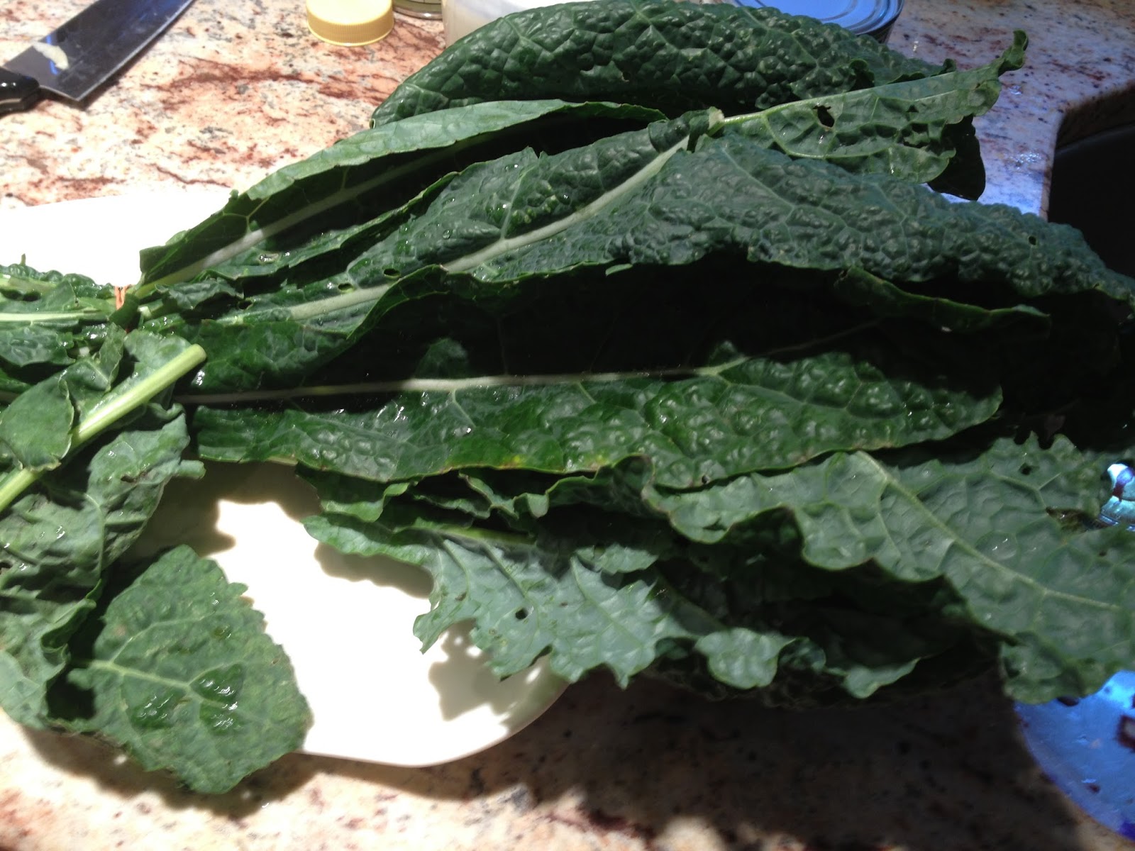 Poop, Pasta, and Pediatrics Conquering my CSA My Arch Nemesis, Kale