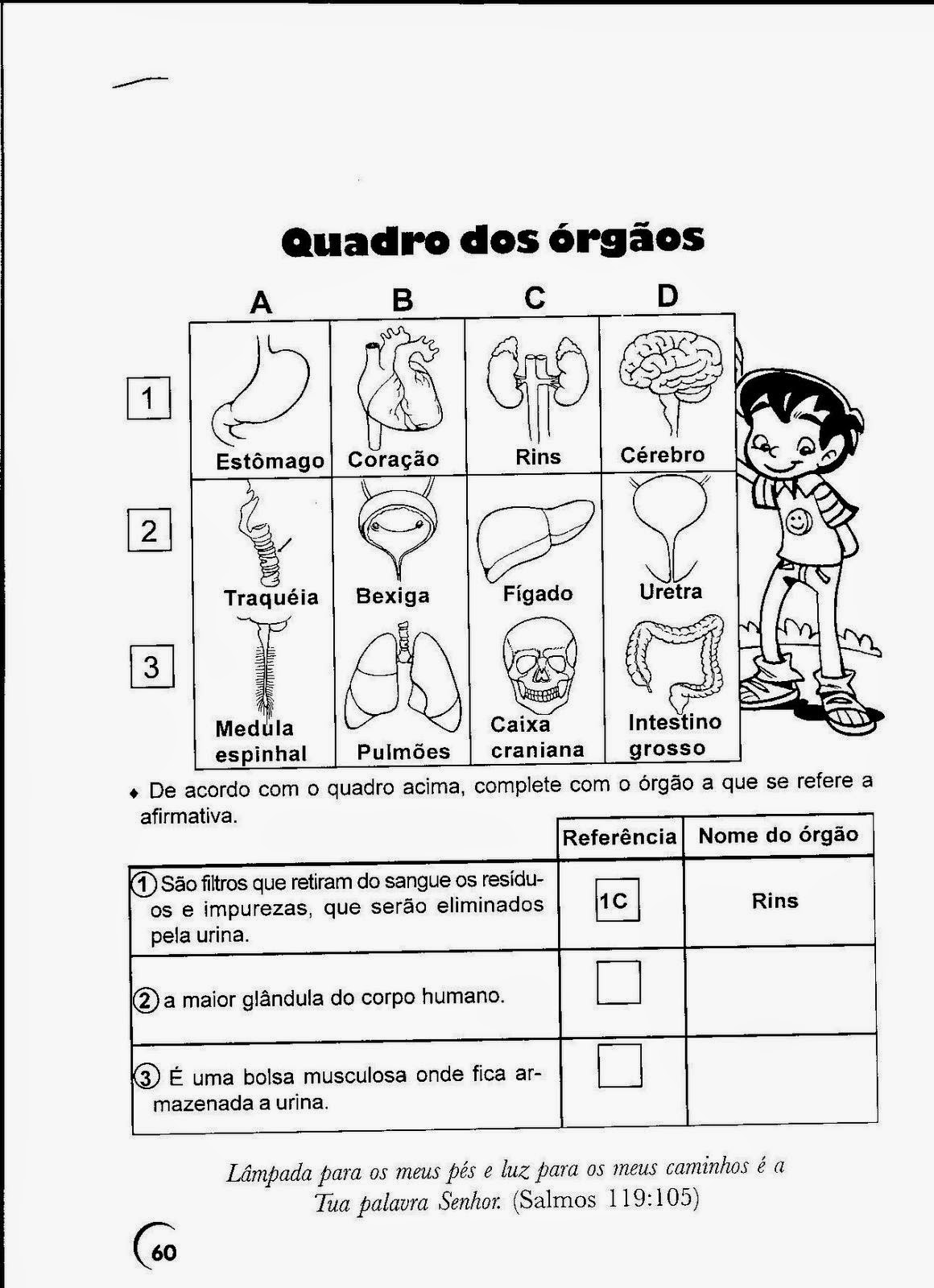 JORNAL PONTO COM: 250 ATIVIDADES DE CIÊNCIAS PARA O 5º ANO DO ENSINO
