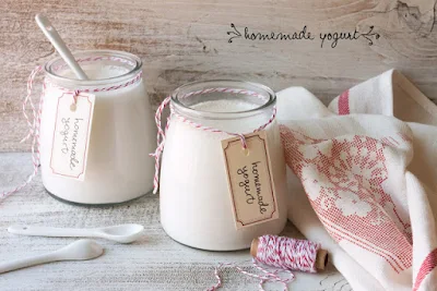 homemade-yogurt-has-done-to-use