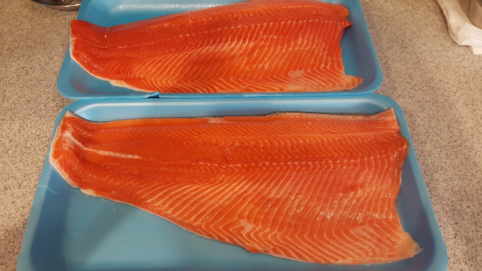 ikenticus cooks Sous Vide Steelhead