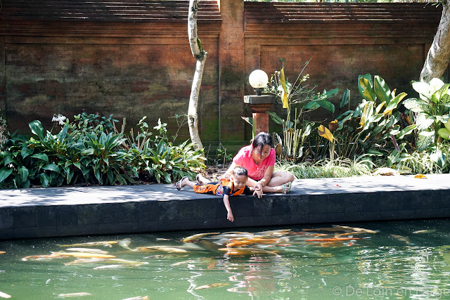 Pura Tirta Empul - Ubud - Bali