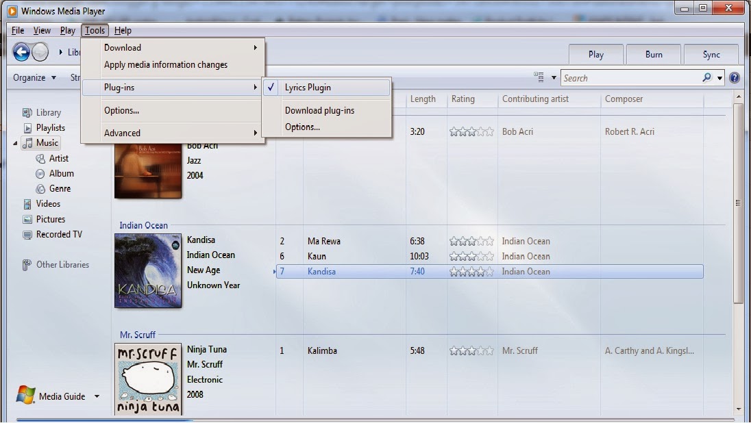 Display Song Lyrics in Windows Media Player