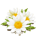 we_re_friends_by_kmygraphic-d6mr4tq.gif