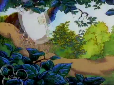 The New Adventures of Winnie The Pooh: Rabbit Marks the Spot