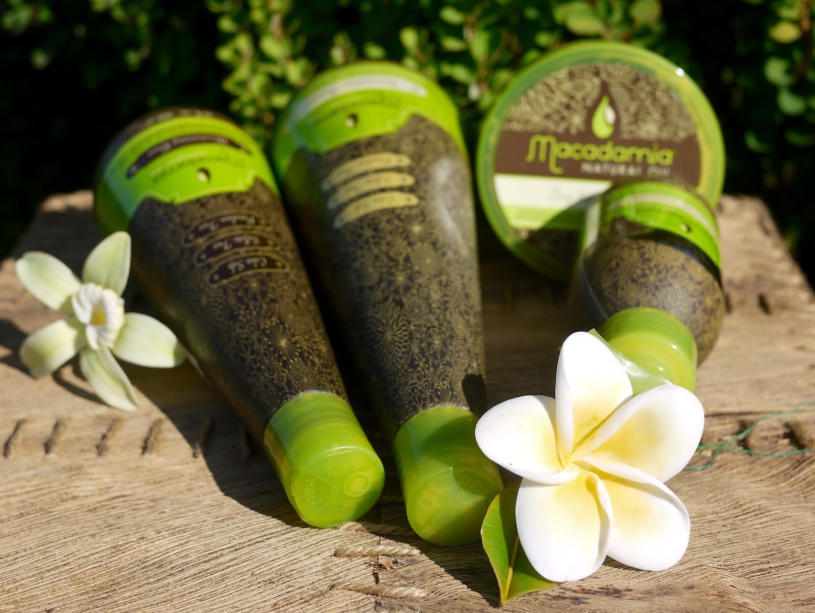 духи макадамия. Hask macadamia oil увлажняющее масло-блеск для волос. масло бабассу. духи макадамия. как выглядит масло макадамия для волос.