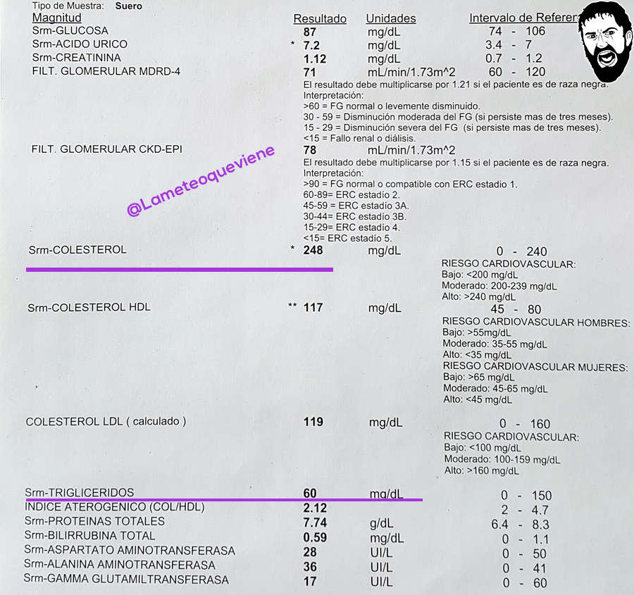 Leónidas: LEE ANALÍTICA (III) Leónidas: LEE ANALÍTICA (III)