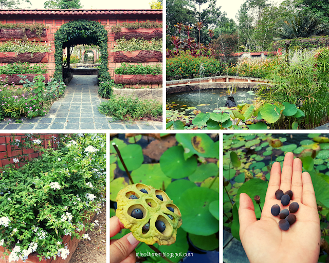 sekitar taman model taman pertanian sabah