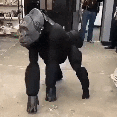 6.gif