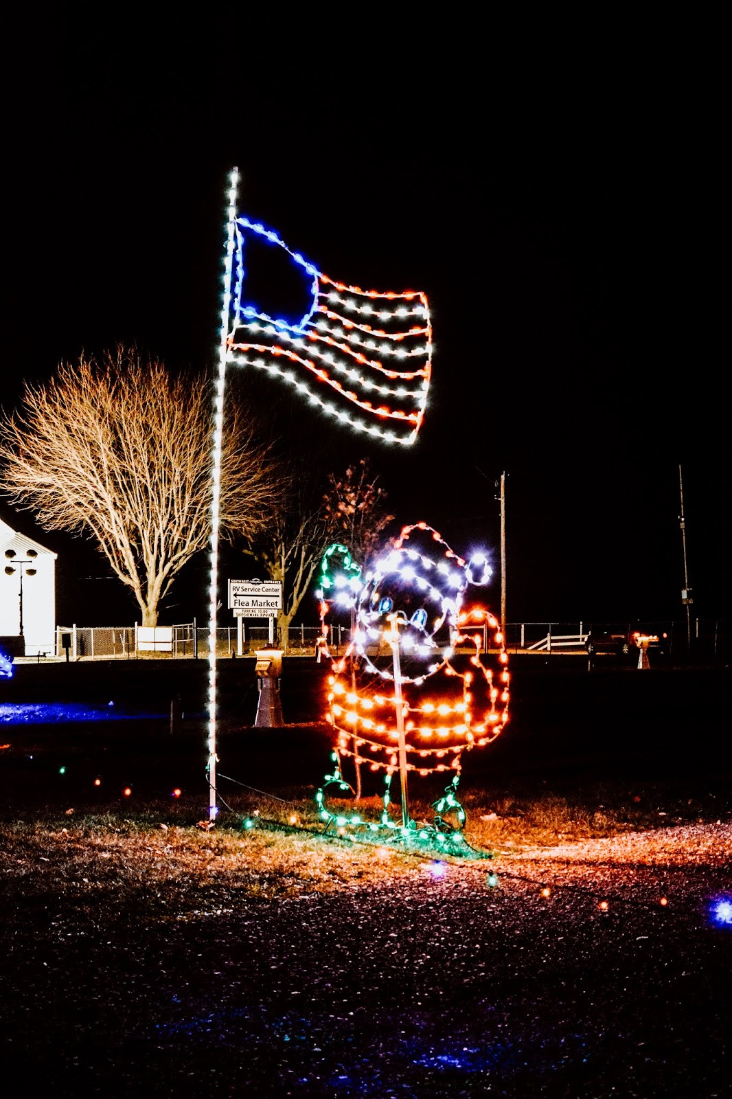 Theresa's Mixed Nuts Drive Through the Shipshewana Lights of Joy This