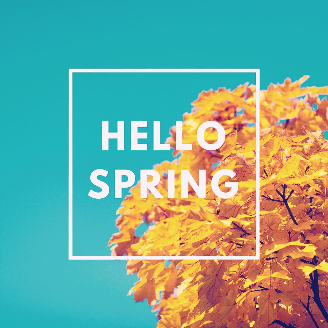 3 Reasons To Sell Your Home This Spring!