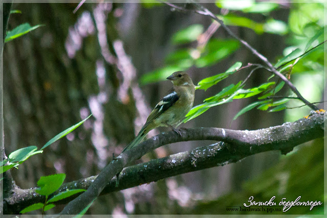 IMG_0920.jpg IMG_0920.jpg