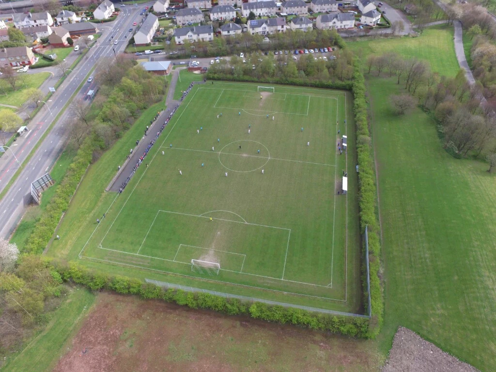 Winning In The Rain Ants Invasion