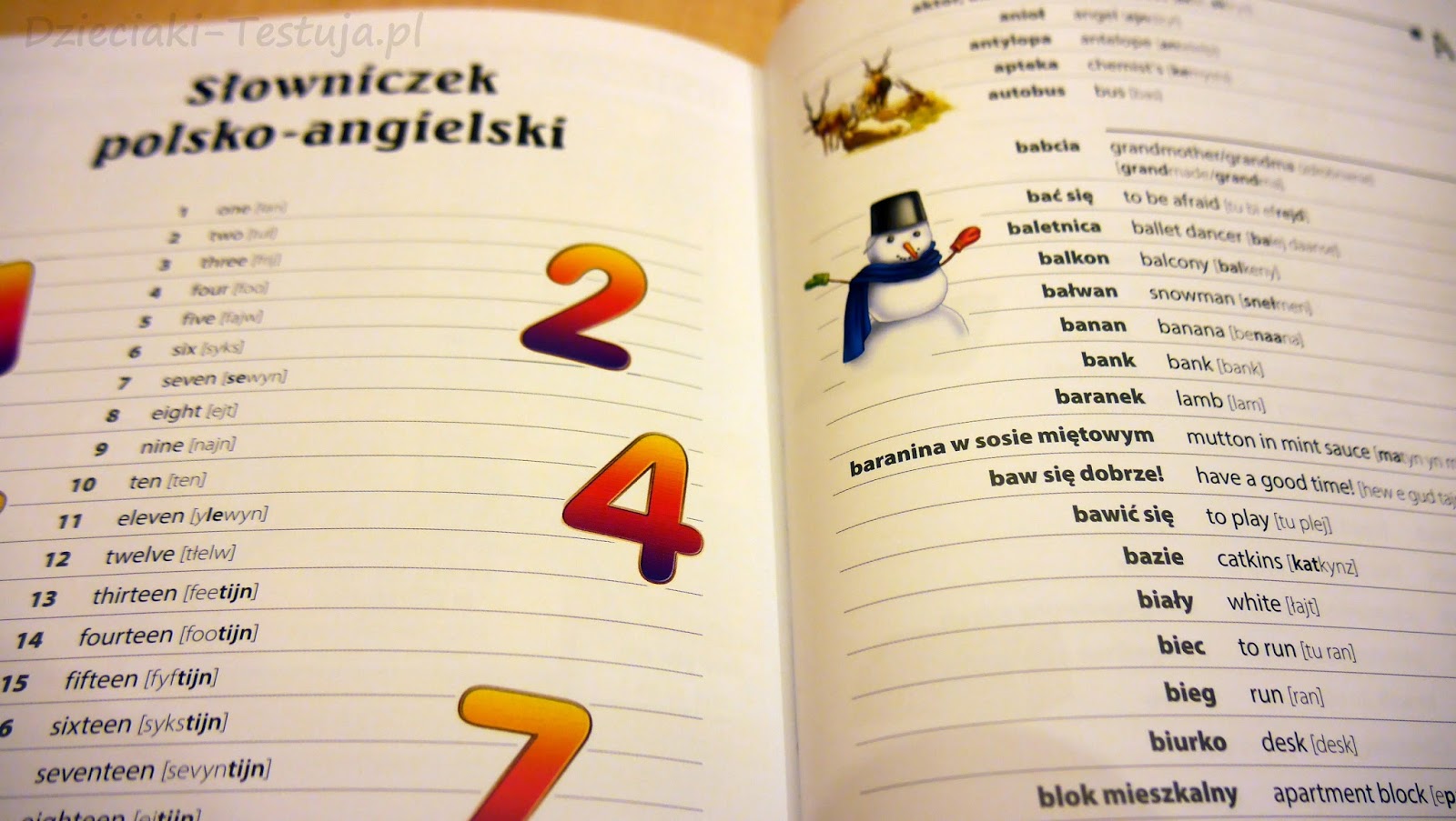Ilustrowany słownik angielsko-polski - Dzieciaki-Testuja.pl - Recenzje