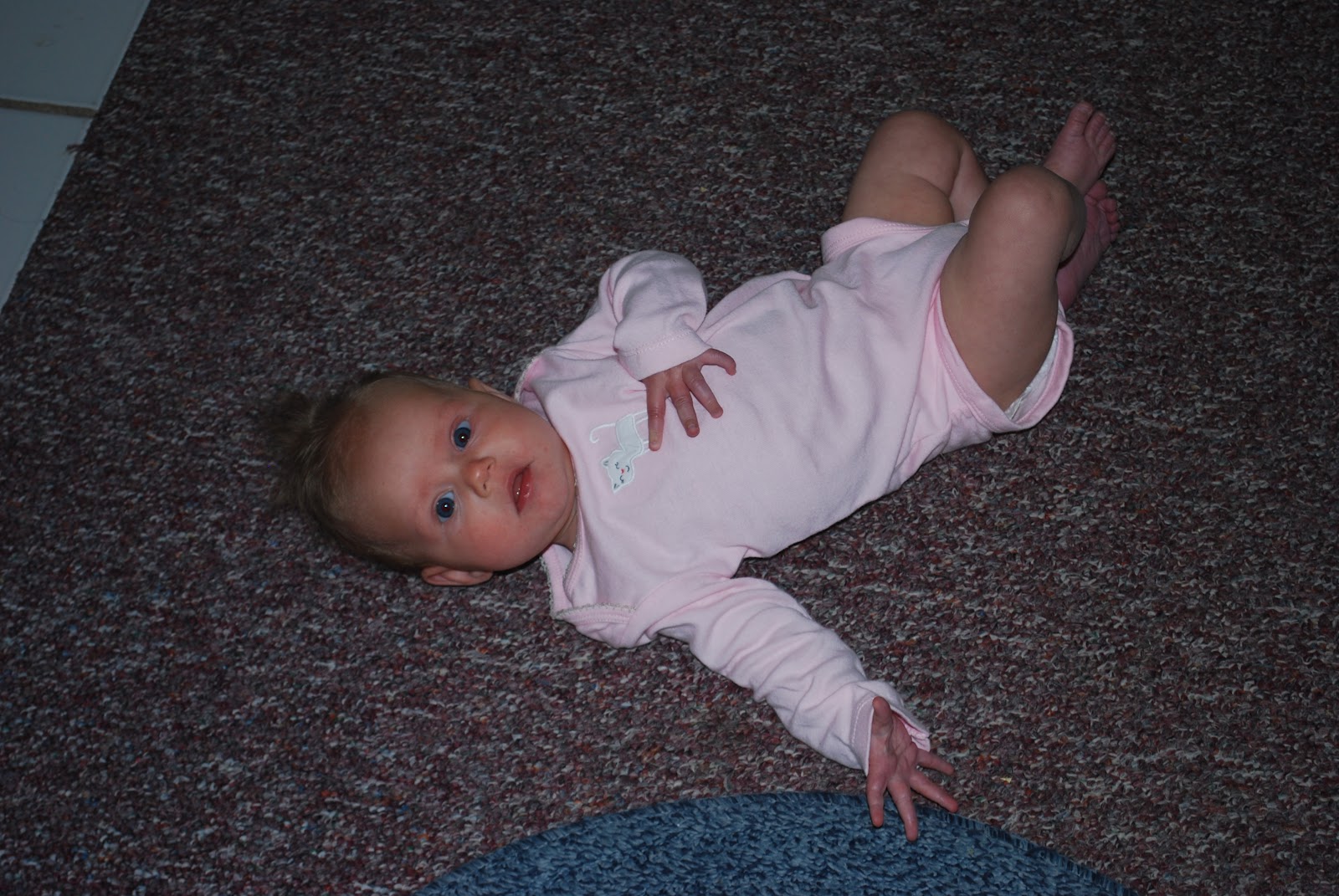 The Petersen Herd Long Baby L