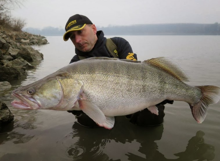 foto orang mancing dapat ikan besar Gambar