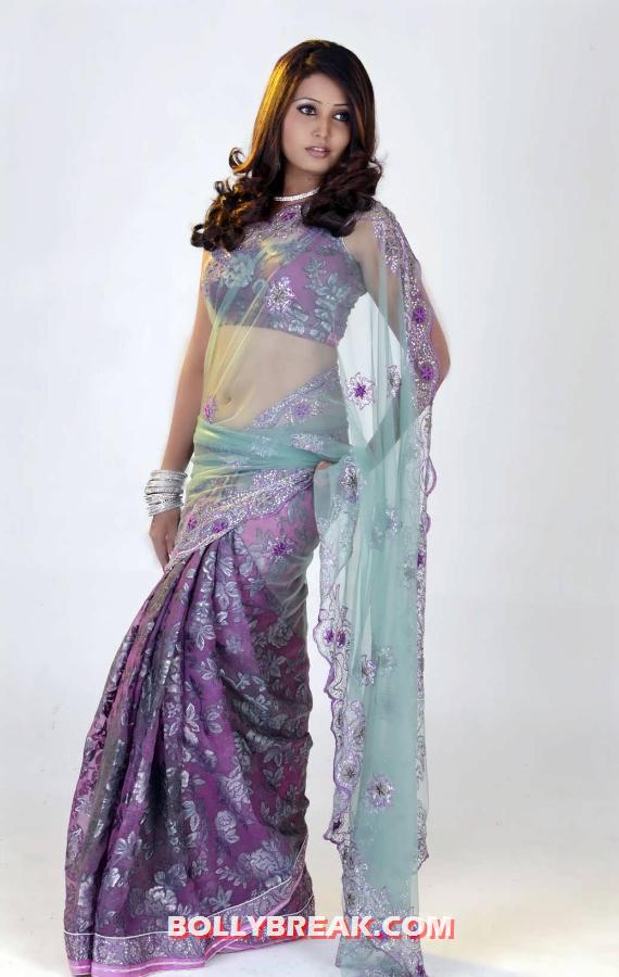 Sandra Jose showing off her gorgeous body in a Lilac sari with a transparent pallu - (3) - Sandra Jose sari Navel Show