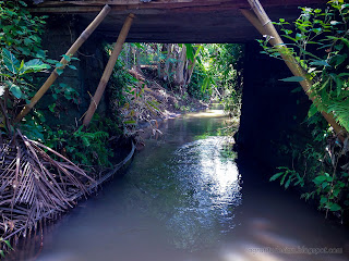 Natural View Of The Stream Under The Small Bridge In Agricultural Area At Ringdikit Village, North Bali, Indonesia