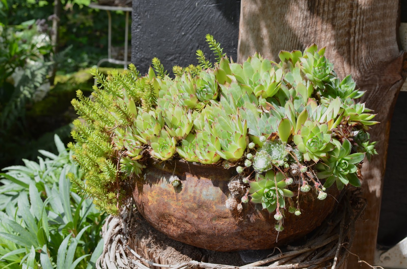 Schmiedegarten Gartenglück