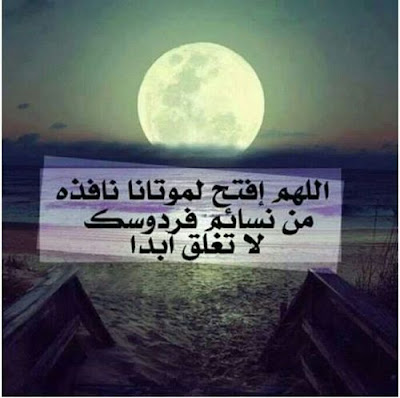 large%2B%25281%2529