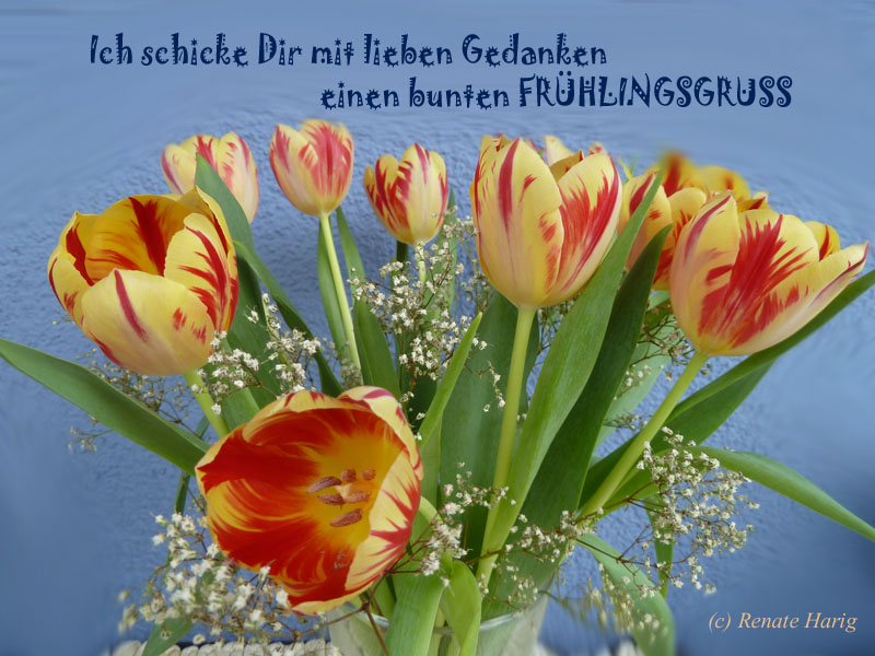 Pin Auf Gute Spruche