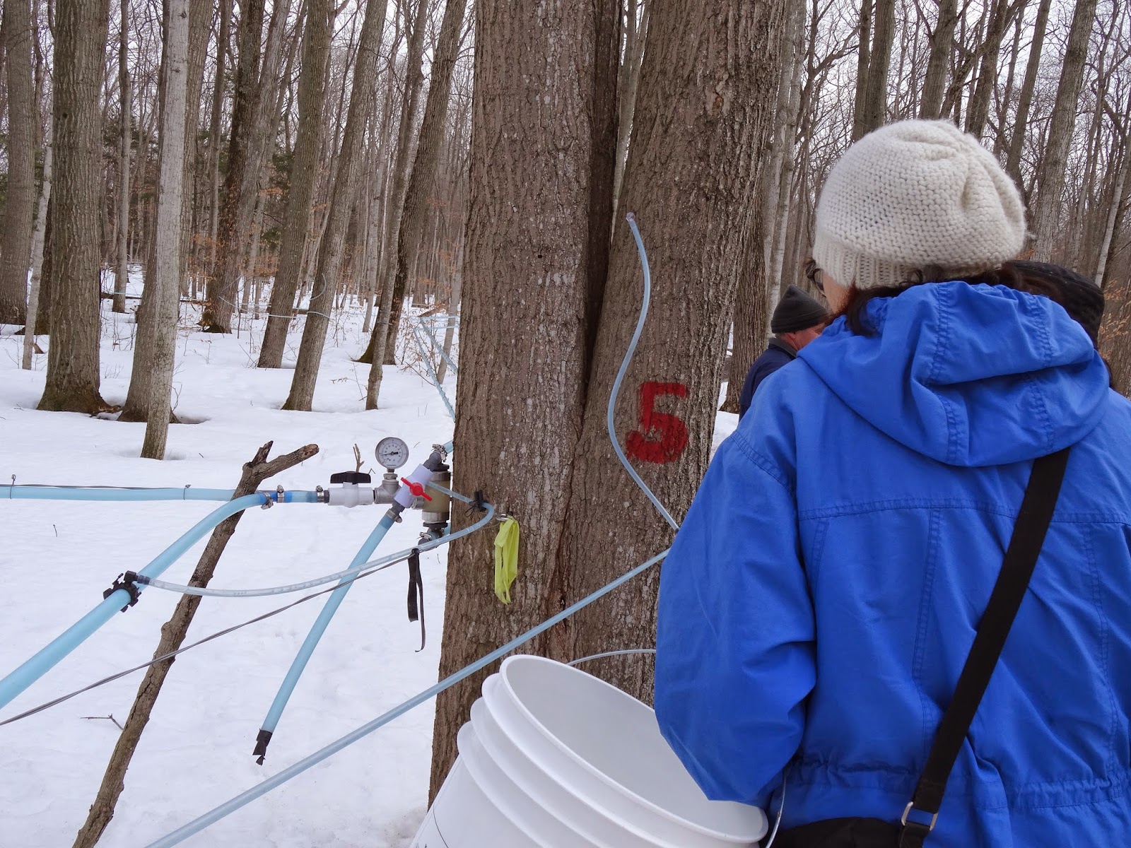 lakepurity Trail Walk,오늘은 Maple Syrup Farm에서(3월22일,2014)