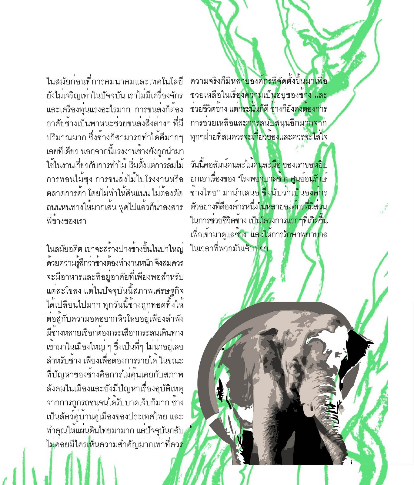 My Image 50