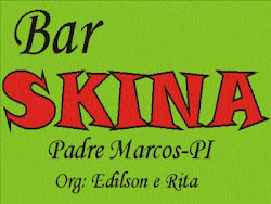 bar skina