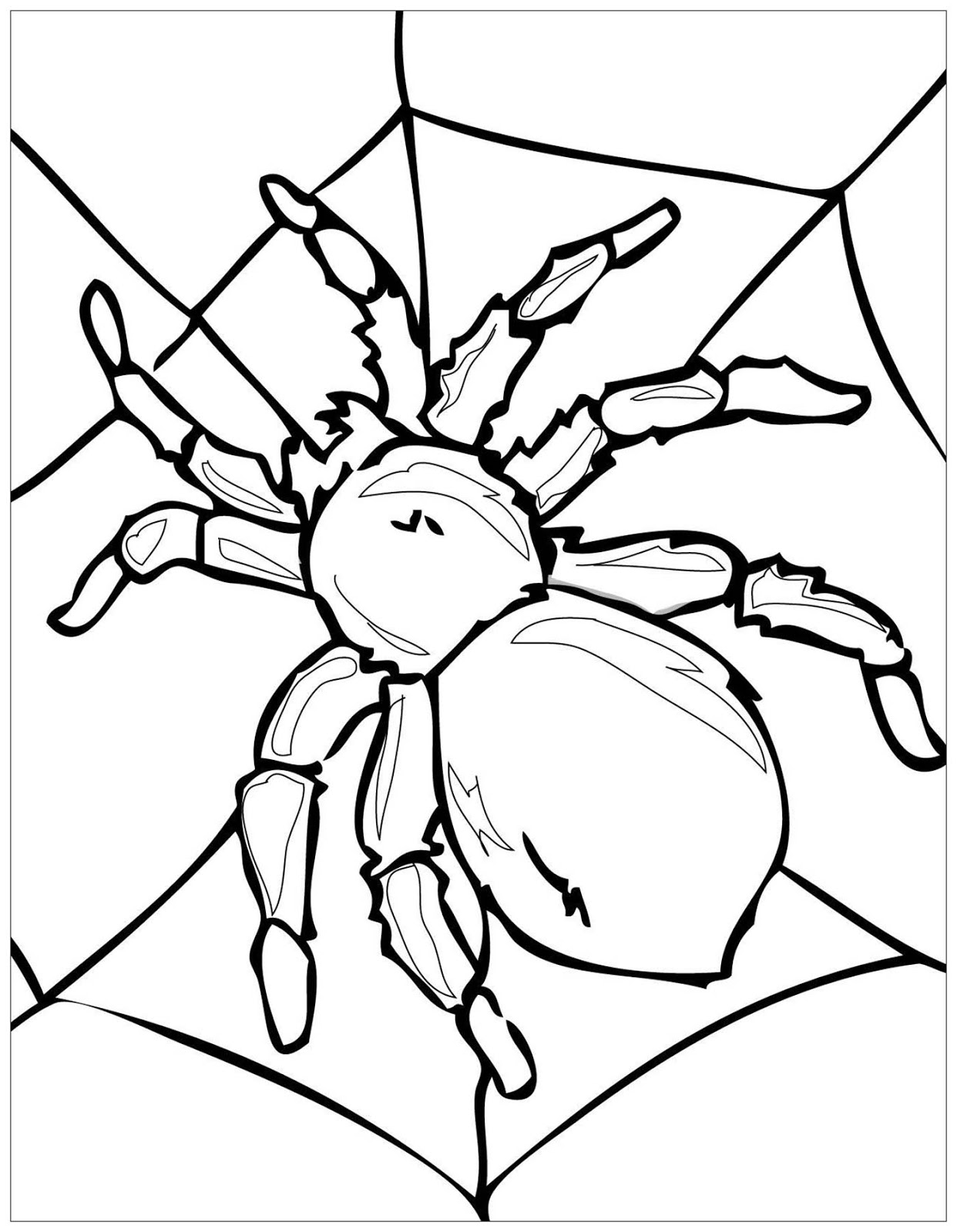 Tranh tô màu con nhện giăng tơ « in hình này