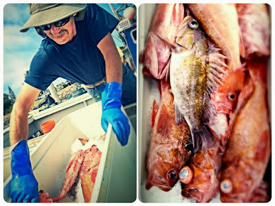 variety rockfish, local seafood, San Diego, Tuna Harbor Dockside Market